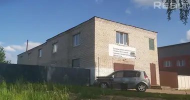 Manufacture in Orsha District, Belarus
