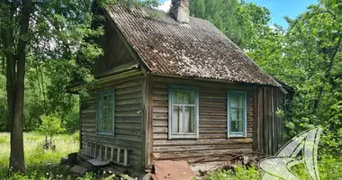 Haus in Lieninski sielski Saviet, Belarus