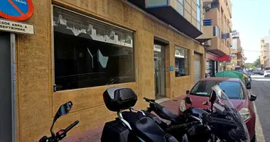 Коммерческое помещение 300 м² в Торревьеха, Испания