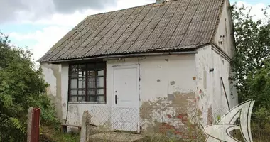 Dom w Szczytniki Małe, Białoruś