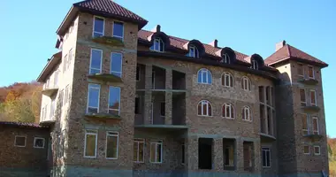Historyczny Projekt Hotelowy ze Źródłem Leczniczym w Słobodzie w Rejon kołomyjski, Ukraina
