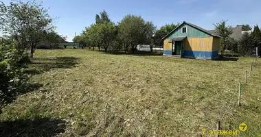 House in Zabalocki sielski Saviet, Belarus