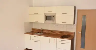 Wohnung 2 zimmer in Hauptstadt Prag, Tschechien