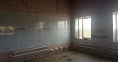 Manufacture in Minsk, Belarus