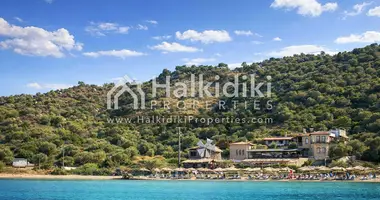 Участок земли в Амолиани/Амулиани/Амульяни/Аммулияни, Греция