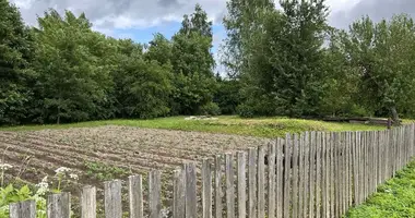 Участок земли в Плисский сельский Совет, Беларусь