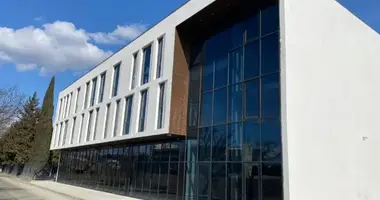 Офис 1 700 м² в Тбилиси, Грузия