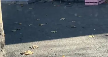 Nieruchomości komercyjne 20 m² w Odessa, Ukraina