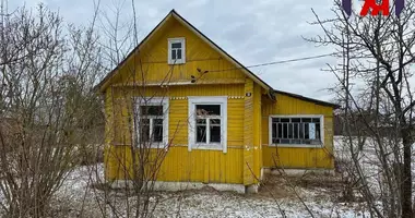 House in Zaliessie, Belarus
