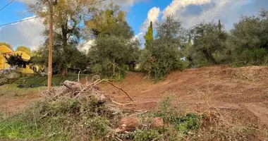 Terrain dans Chorepiskopi, Grèce