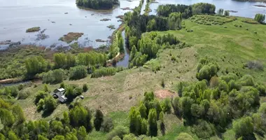 Участок земли в Grybenai, Литва