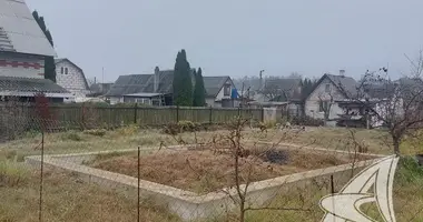 Parcela en Skoki, Belarús