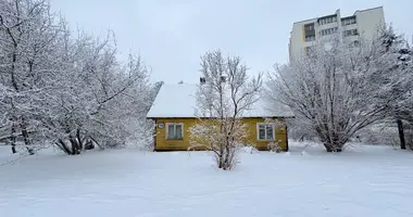 Haus in Druscheniken, Litauen