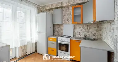 1 bedroom apartment in Minsk, Belarus