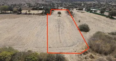 Terrain dans Zeytineli Mahallesi, Turquie