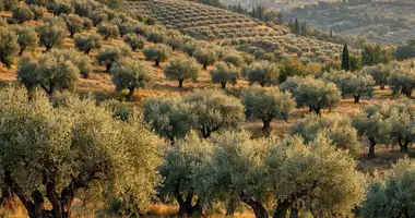 Участок земли в Каллитеа, Греция