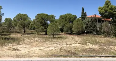 Plot of land in Municipality of Sithonia, Greece