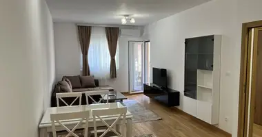 1 bedroom apartment in Podgorica, Montenegro