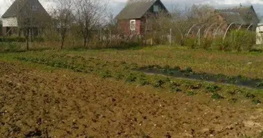 Plot of land in Piatryskauski sielski Saviet, Belarus