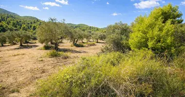 Plot of land in Neos Marmaras, Greece