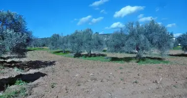 Plot of land in Eretria Municipality, Greece
