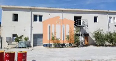 Commercial property 350 m² in Bashkia Durres, Albania