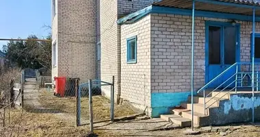 House in Niahnievicy, Belarus