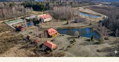 Propiedad comercial 1 767 m² en Kalniskes, Lituania