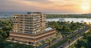 1 bedroom apartment in United Arab Emirates