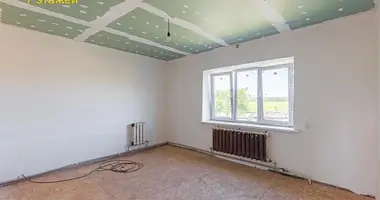 Apartment in Svetly Bor, Belarus