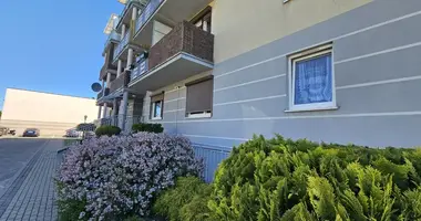 Apartment in Wrzesnia, Poland