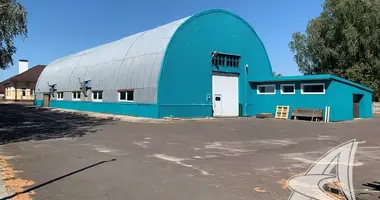 Производство 1 332 м² в Мухавецкий сельский Совет, Беларусь