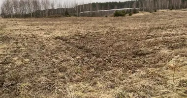 Grundstück in Promna Kolonia, Polen