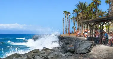 Entreprise établie dans Adeje, Espagne