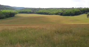 House in Al Ahsa Governorate, Saudi Arabia
