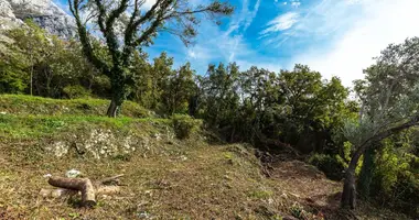 Wohnung in Montenegro