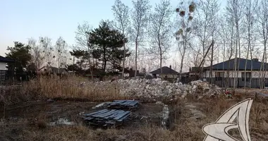 Plot of land in Brest, Belarus