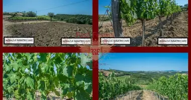 Propriété commerciale 682 m² dans Grosseto, Italie