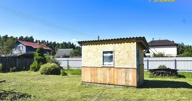 House in Nieharelski sielski Saviet, Belarus