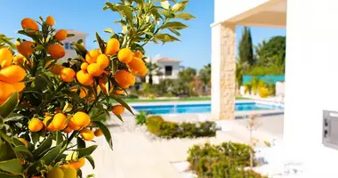 Gewerbefläche in Kouklia, Zypern