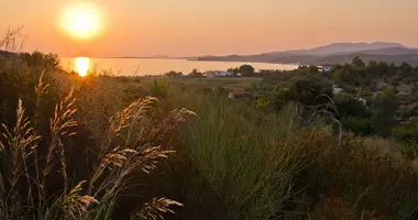Terrain dans Sarti, Grèce