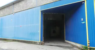 Propriété commerciale 864 m² dans Riga, Lettonie
