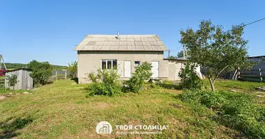 House in Piekalinski sielski Saviet, Belarus