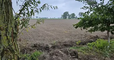 Maison dans Kokorzyn, Pologne