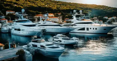 READY BUSINESS dans Veli Iz, Croatie