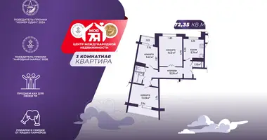 3 room apartment in Minsk, Belarus