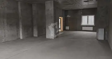 Commercial property 100 m² in Minsk, Belarus