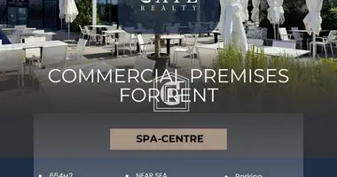 Gewerbefläche 654 m² in Becici, Montenegro