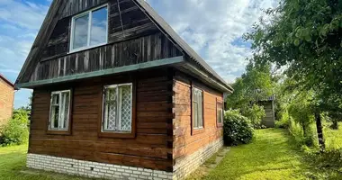 Дом в Ждановичский сельский Совет, Беларусь