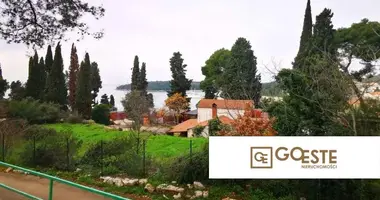 Maison dans Opcina Dezanovac, Croatie